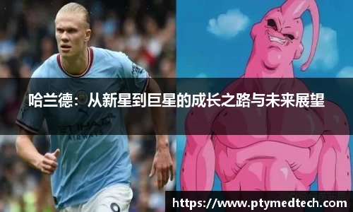 哈兰德：从新星到巨星的成长之路与未来展望