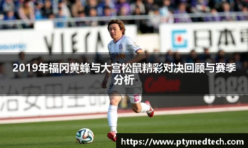 2019年福冈黄蜂与大宫松鼠精彩对决回顾与赛季分析